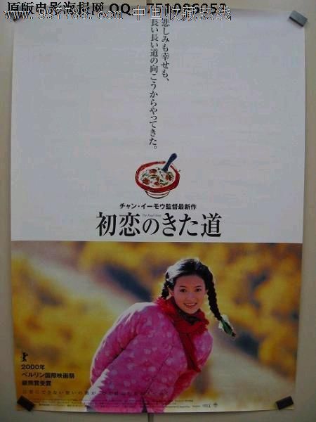 怎么做假荷兰护照电子版